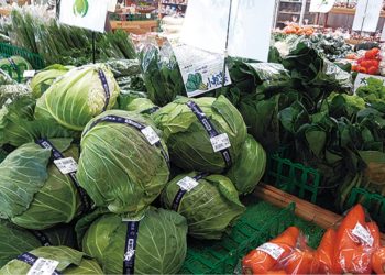 Preço das verduras e legumes no Japão segue abaixo da média anual, mas tendência é de alta nas próximas semanas
