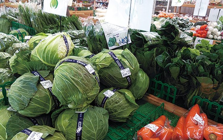 Preço das verduras e legumes no Japão segue abaixo da média anual, mas tendência é de alta nas próximas semanas