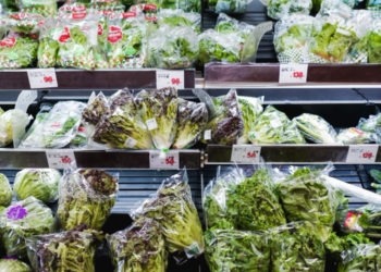 Legumes e verduras no Japão estão mais baratos que a média anual