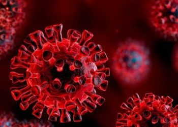 Japão registra 2024 casos de COVID-19 no domingo