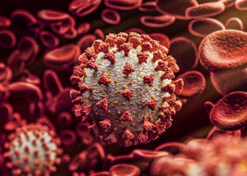 Japão registra 2017 novos casos de COVID-19 na terça-feira e maior número de mortes em 1 dia desde o início da pandemia