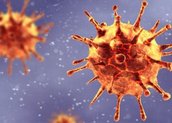 Japão confirma 53 casos de nova cepa do coronavírus até a terça-feira