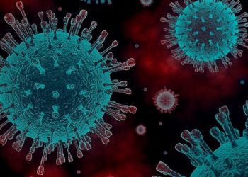 Japão confirma 3.345 casos de COVID-19 no sábado