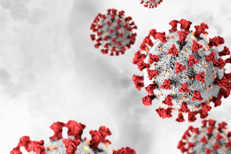 Japão confirma 965 casos de COVID-19 na segunda-feira