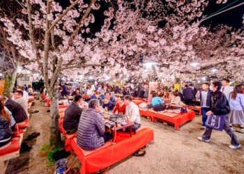 A famosa iluminação da flor de cerejeira no parque de Kyoto foi cancelada devido ao coronavírus