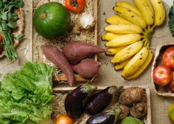 Solidariedade: Atacadista doa frutas e verduras a famílias carentes na região central do Japão