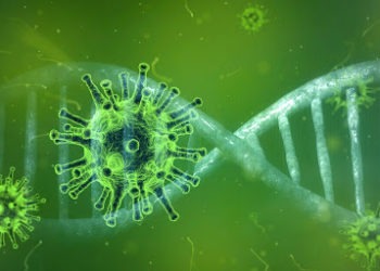 Estudos indica que os sintomas da Covid-19 persistem meses após contágio