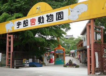 Zoológico oferece frutas congeladas para refrescar animais em meio a verão escaldante do Japão