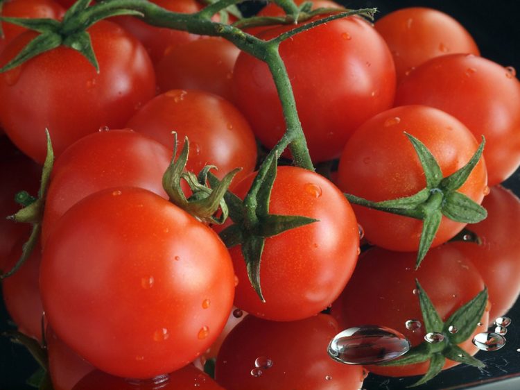 Tomates com edição de genoma chega ao Japão