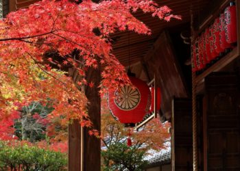 Folhagens de outono atrai turistas a Kyoto