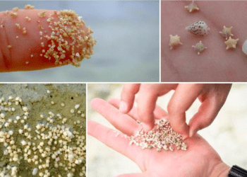 Praia de Okinawa tem grãos de areia em forma de minúsculas estrelas
