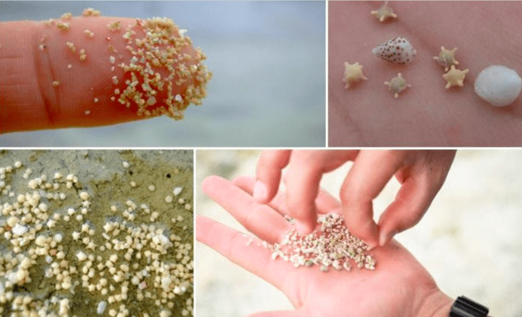 Praia de Okinawa tem grãos de areia em forma de minúsculas estrelas