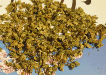 Lei rígida para os usuários de droga no Japão