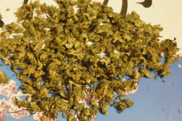 Lei rígida para os usuários de droga no Japão