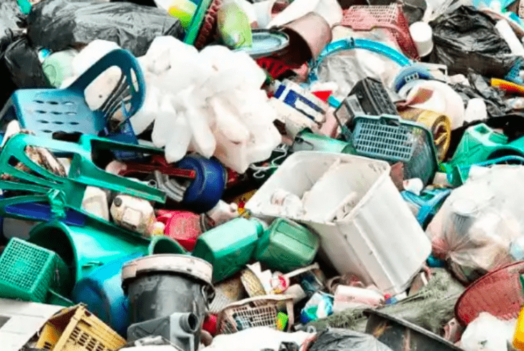 Empresas se unem para combater a poluição de plásticos