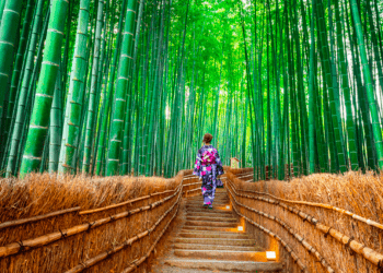 Visitantes lotam pontos turísticos no Japão