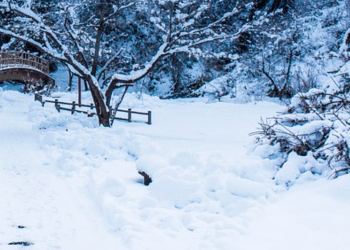Estudante japonesa não aguentava mais o bullying e se mata congelada na neve