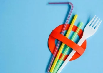 Empresas de papel e celulose investem em mais produtos para combater resíduos plásticos