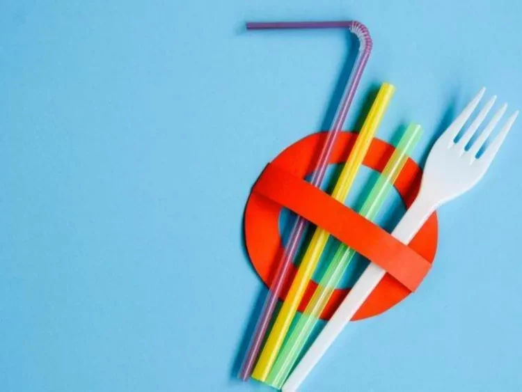 Empresas de papel e celulose investem em mais produtos para combater resíduos plásticos