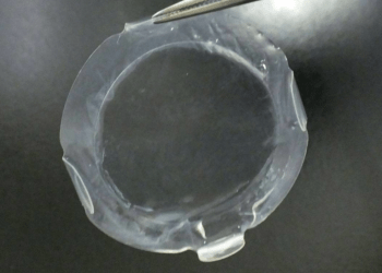 Pesquisadores aprovam segurança e eficácia em transplantes de tecidos de córnea de células iPS