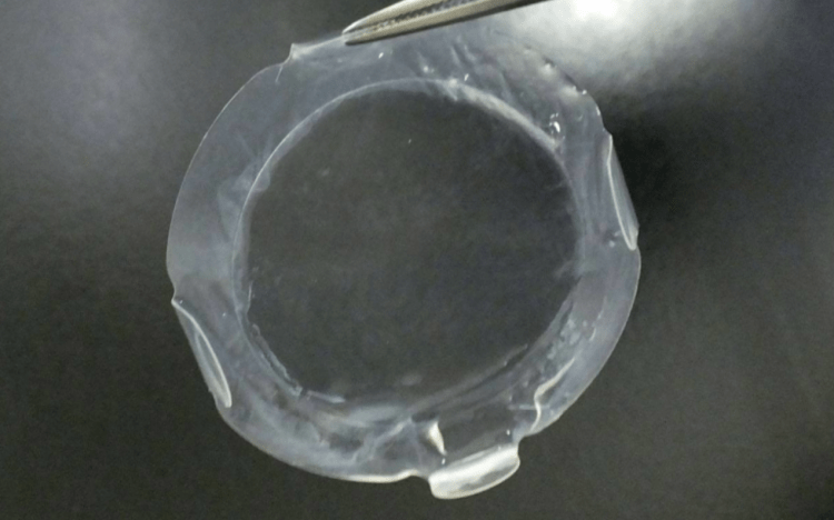 Pesquisadores aprovam segurança e eficácia em transplantes de tecidos de córnea de células iPS