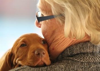 Pesquisa comprova que tutores de cachorros têm riscos menores de deficiências na velhice