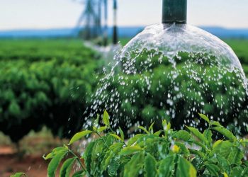 Criança de 6 anos morre afogada após cair em reservatório de irrigação