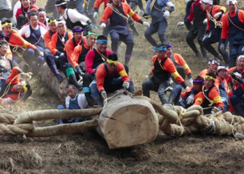 Tradicional queda de árvore do Festival Onbashira é o mais mortal do Japão.