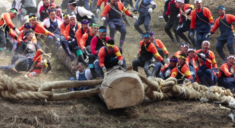 Tradicional queda de árvore do Festival Onbashira é o mais mortal do Japão.