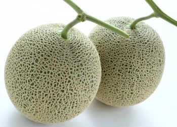 Par de melões atinge valor de US$ 24 mil em leilão no Japão