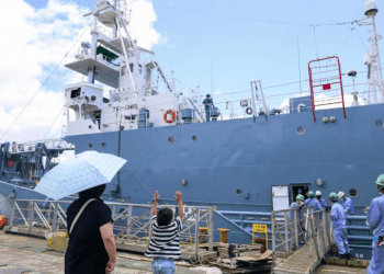 Temporada de caça às baleias