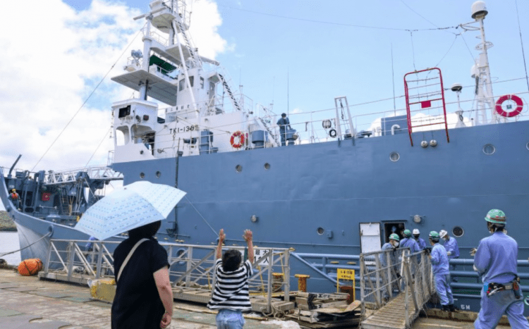 Temporada de caça às baleias