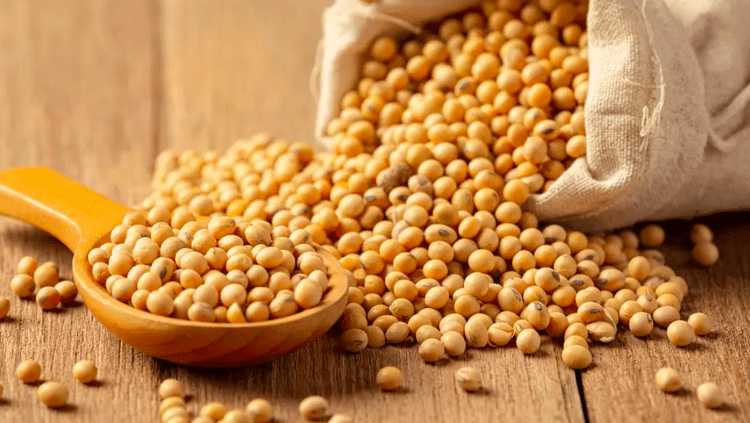 Preços elevados dos grãos levam agricultores japoneses a cultivar trigo em vez de arroz