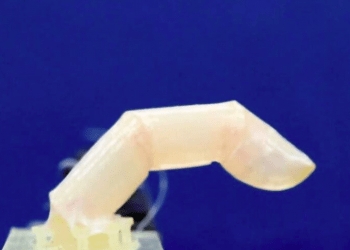 Cientistas japoneses criam pele humana viva para robôs