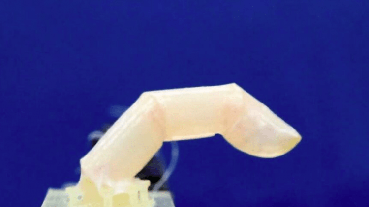 Cientistas japoneses criam pele humana viva para robôs