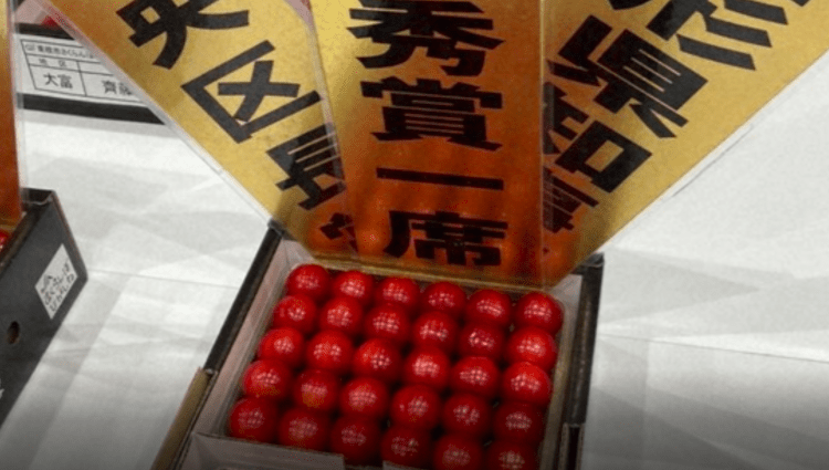 Leilão de cerejas milionárias