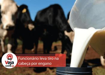 Produtor atira acidentalmente em cabeça de funcionário