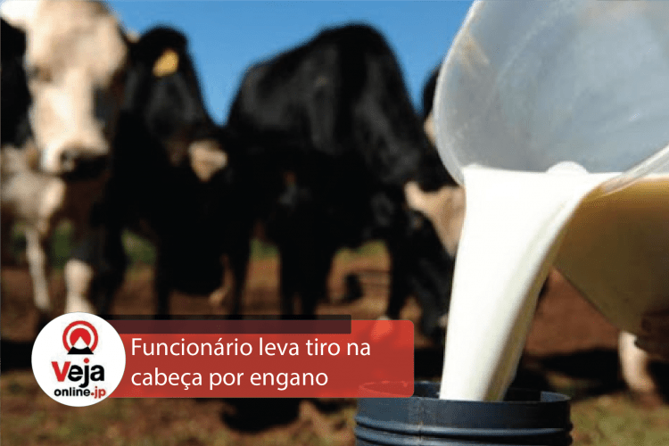 Produtor atira acidentalmente em cabeça de funcionário