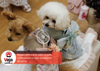 Roupas para pets com ventilador vira febre no Japão