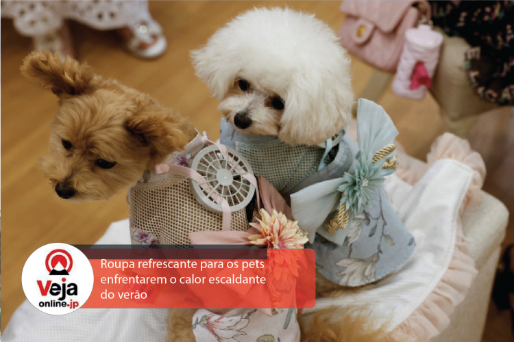 Roupas para pets com ventilador vira febre no Japão