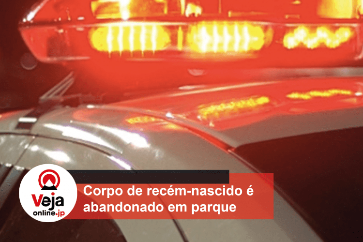 Mãe é presa suspeita de abandonar o corpo de recém-nascido em parque de Yokohama