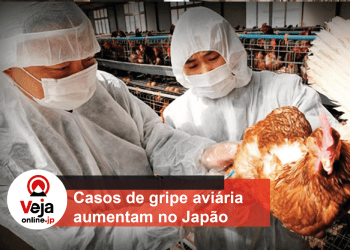 Autoridades se preocupam com ritmo acelerado de gripe aviária no País