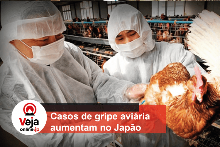 Autoridades se preocupam com ritmo acelerado de gripe aviária no País
