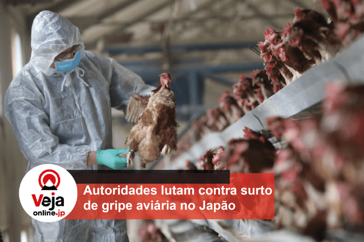 Governo do Japão lança novos planos para combater surto recorde de gripe aviária