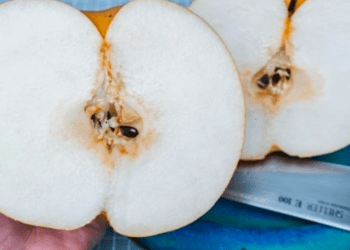 Até as peras no Japão são diferentes e imensas