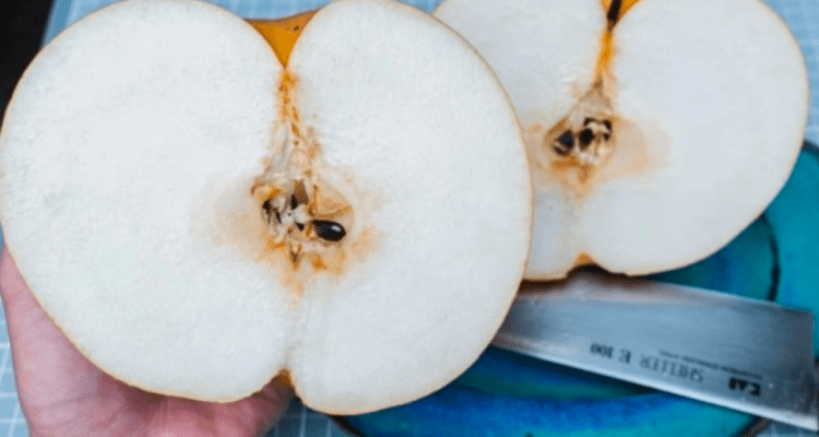 Até as peras no Japão são diferentes e imensas