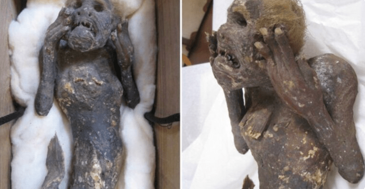 Cientistas descobrem a origem da múmia sereia japonesa de mais de 300 anos