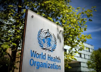 OMS comunica primeiro caso de morte humana por gripe aviária H3N8