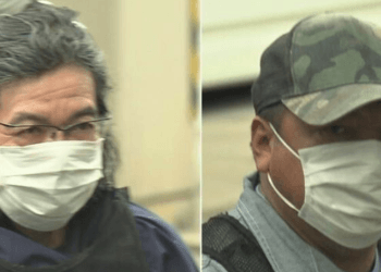 Dois estrangeiros são presos por registro ilegal de mais de 20 carros na província de Aichi