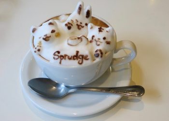 Latte art 3D é a nova tendência em cafeterias do Japão